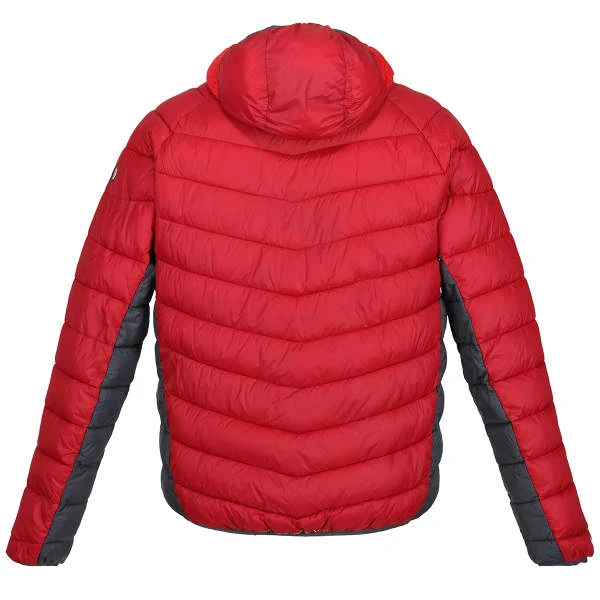 REGATTA HARROCK DKRED/CHINRD 23 2 REGATTA HARROCK DKRED/CHINRD 23 - Afbeelding 2