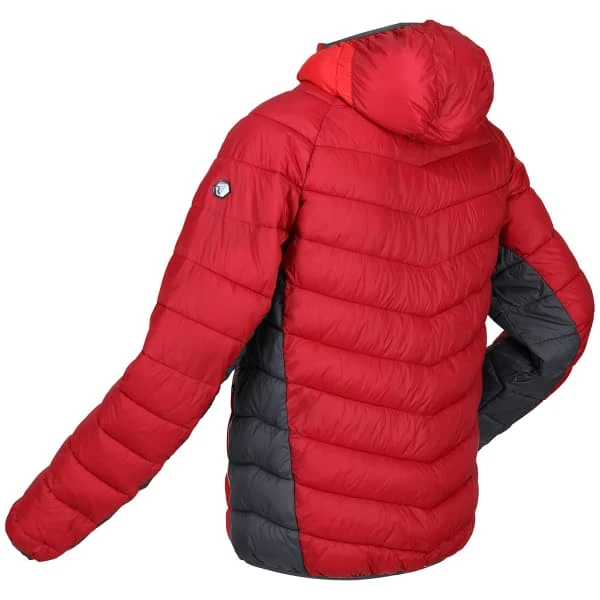 REGATTA HARROCK DKRED/CHINRD 23 4 REGATTA HARROCK DKRED/CHINRD 23 - Afbeelding 4