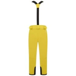 DARE 2B ACHIEVE II PANT ANTIQUE MOSS 23 -Koude Kleding 9 130316 achieve ii pant antique moss dmw486r 68l 03